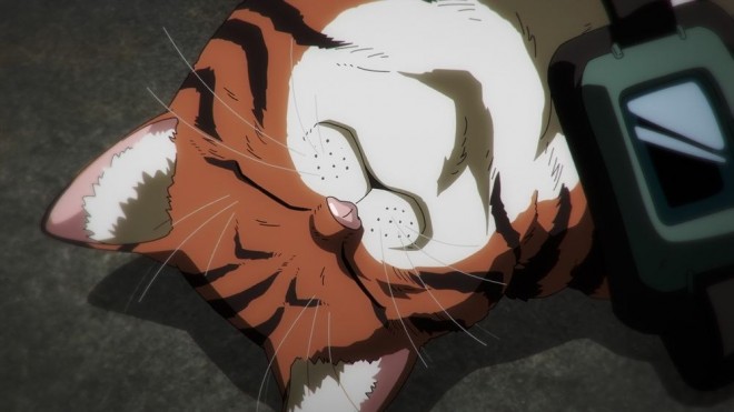 Nyaight of the Living Cat